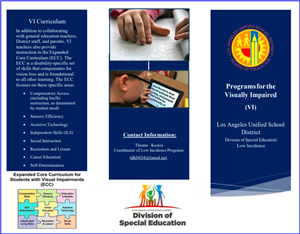 Visually Impaired Programs Brochure image